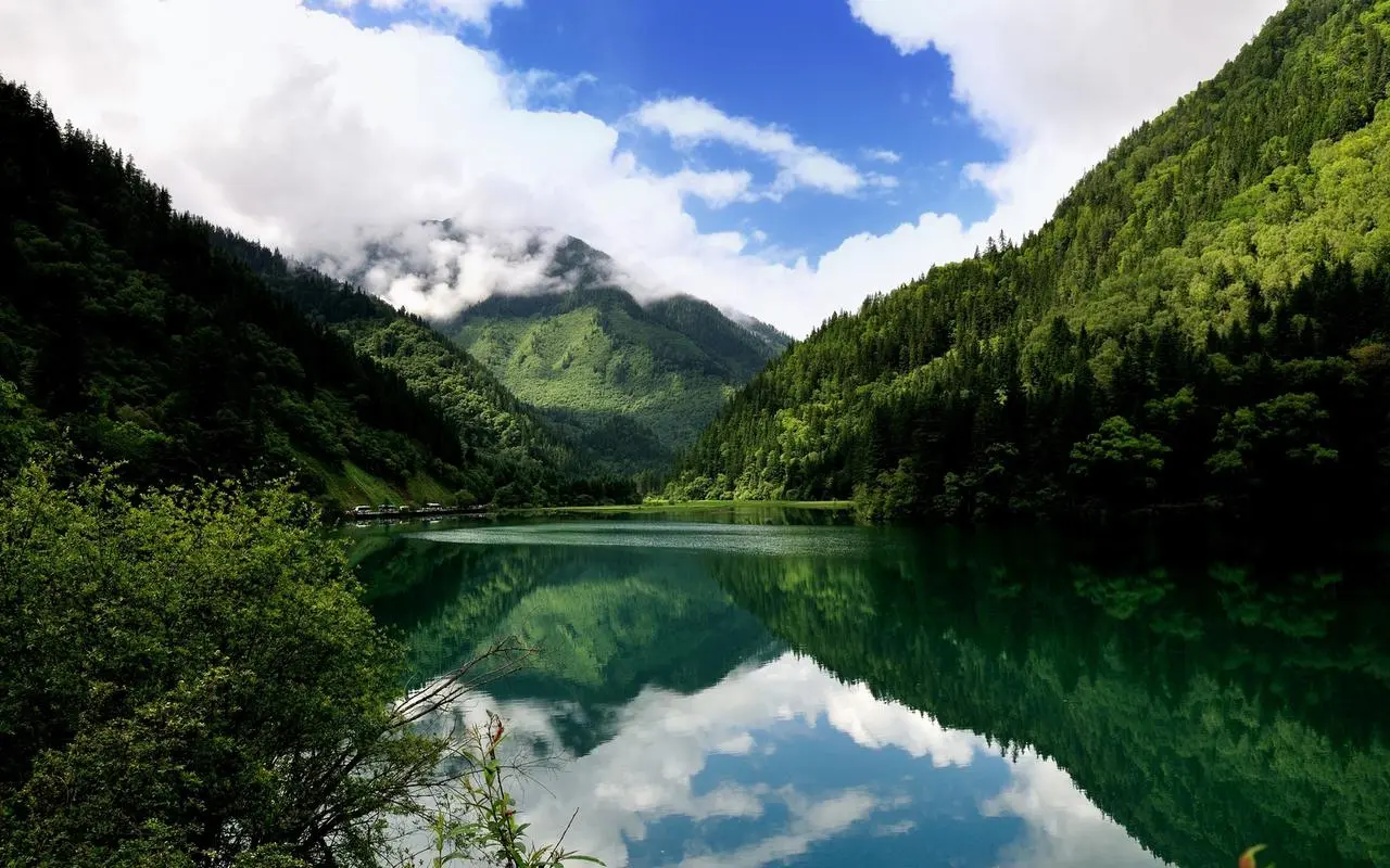 创新智能系统
